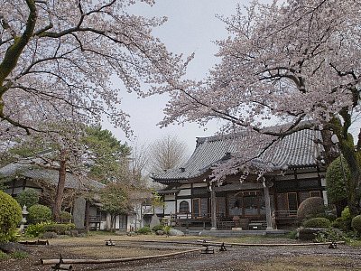 ペット 霊園 自然 哲学 堂 動物 霊園 販売